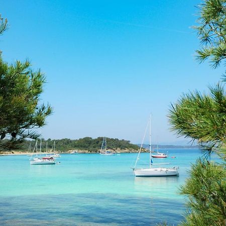 Joli Studio Entre La Mer Et La Ville Hyères Zewnętrze zdjęcie