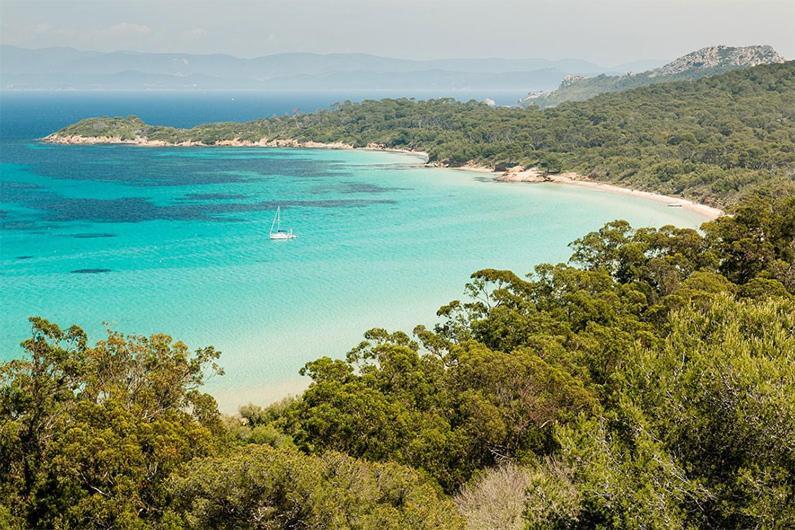 Joli Studio Entre La Mer Et La Ville Hyères Zewnętrze zdjęcie
